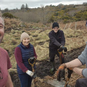 Massive volunteer effort sees 1,600 trees planted in West Donegal – Article by Donegal Daily